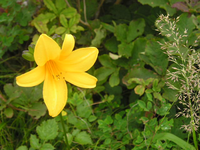 jirimountain_019.jpg