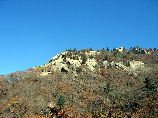 1730_011.jpg