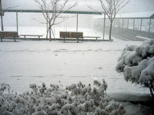 2006_038.jpg