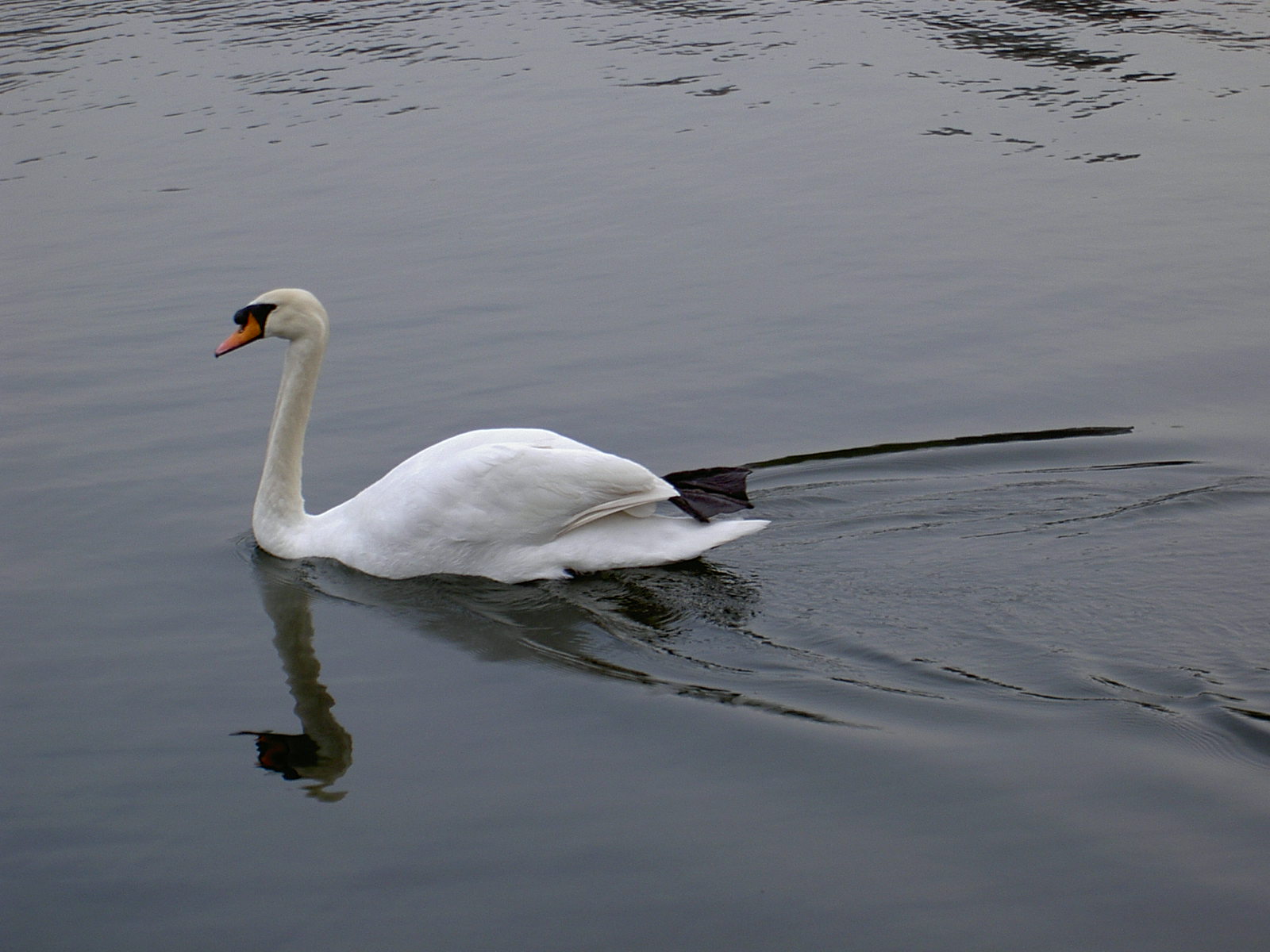 PICT0745.JPG